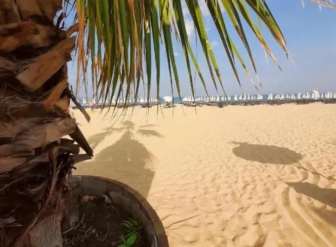 Reina Barcelo Διαμέρισμα Σάνι Μπιτς